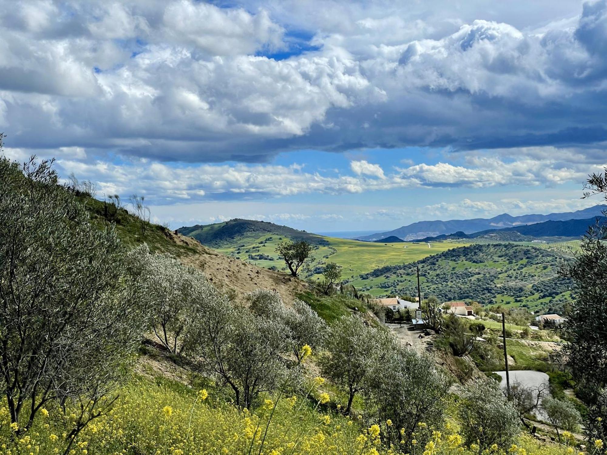 Finca El Sueno Andaluz Villanueva de la Concepción Exterior foto